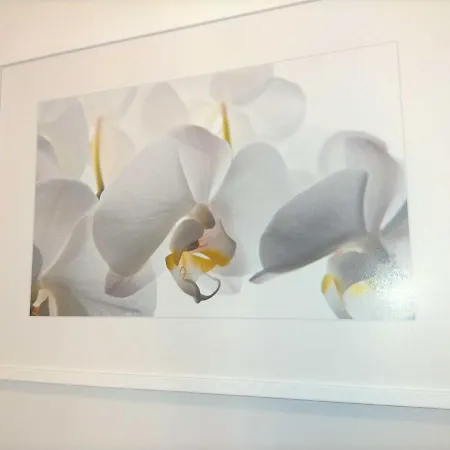 公寓 Cozy Place In 克拉科夫