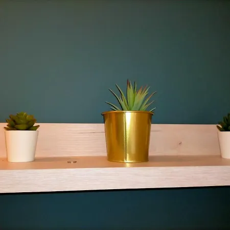 Cozy Place In 公寓